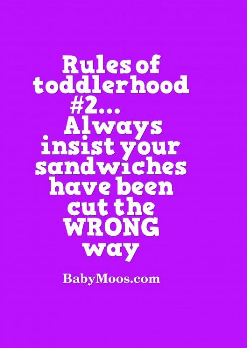 Funny Parenting Quote, Toddlerhood